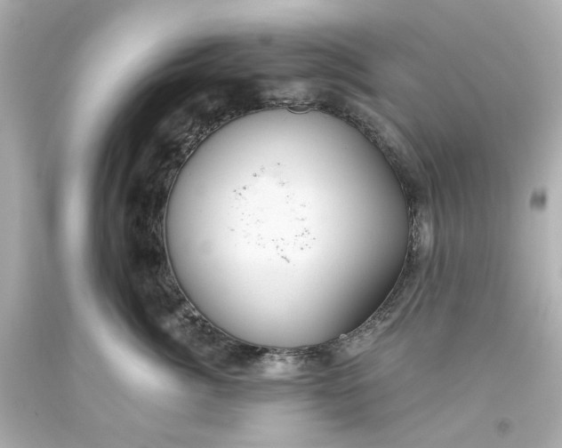 X0000093560764200710291019