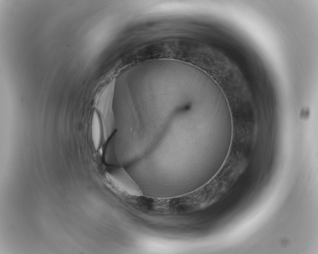 X0000093560766200710291019