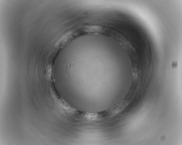 X0000093560767200710291019