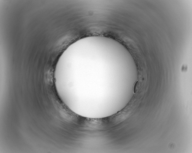 X0000093560768200710291019