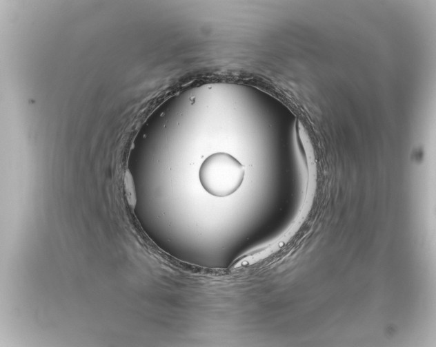 X0000093560769200710291018