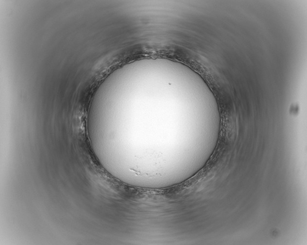 X0000093560770200710291018