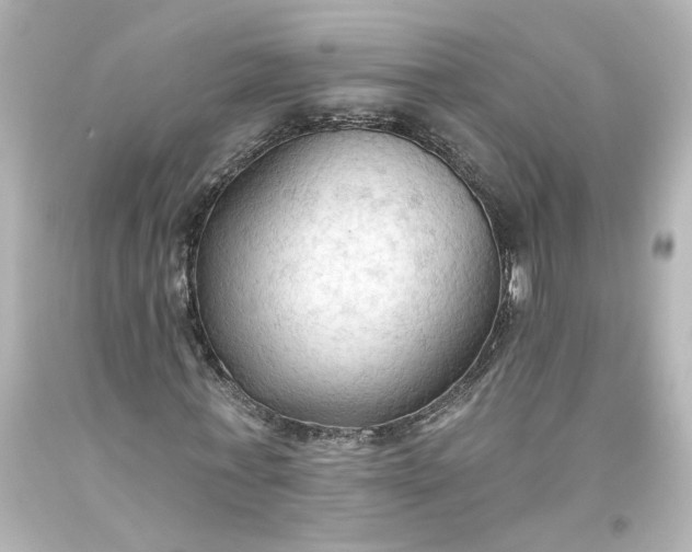 X0000093560771200710291018