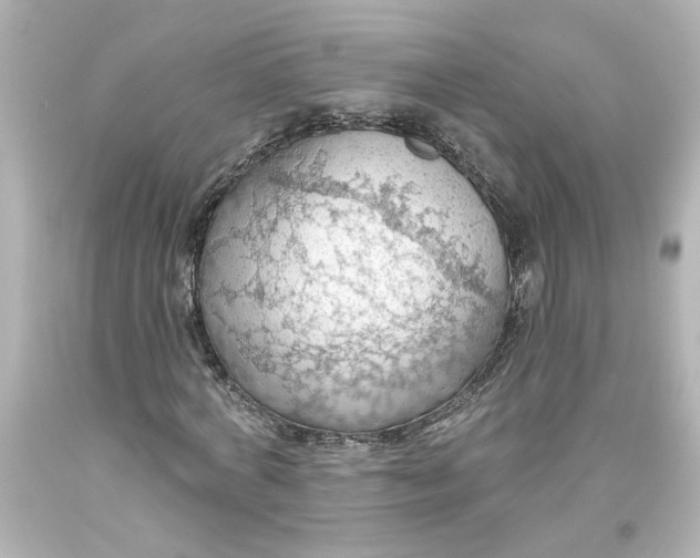 X0000093560772200710291018