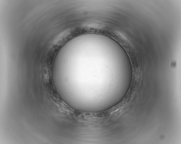 X0000093560774200710291018