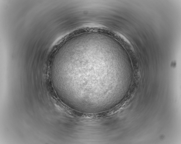 X0000093560775200710291018