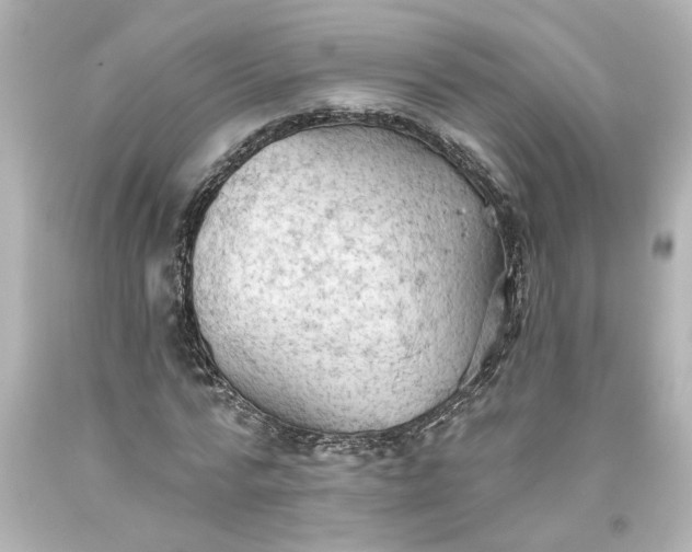 X0000093560776200710291018