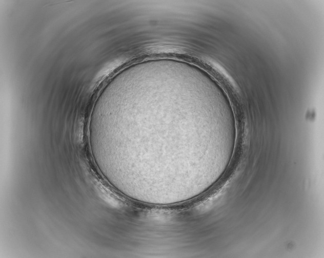 X0000093560777200710291018