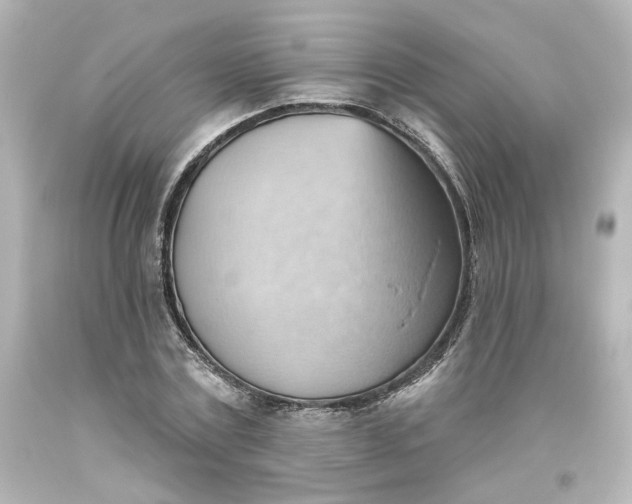 X0000093560779200710291018