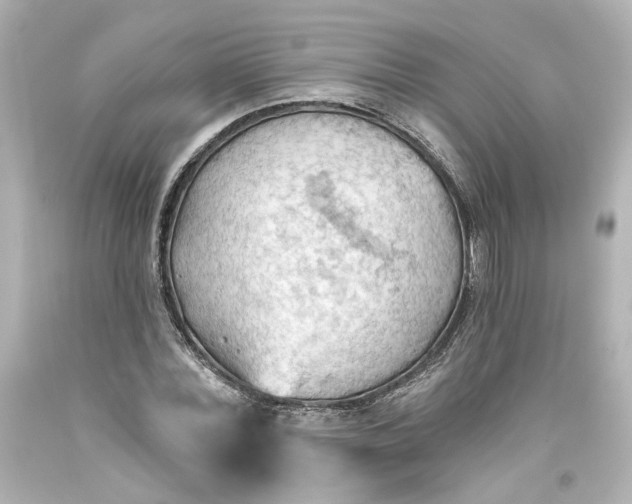 X0000093560780200710291018