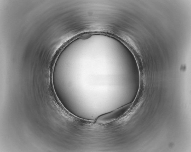 X0000093560781200710291018