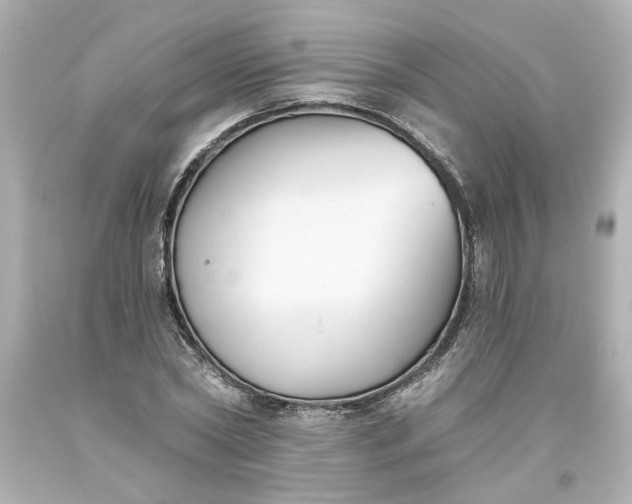 X0000093560782200710291018