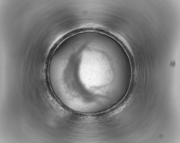 X0000093560783200710291018