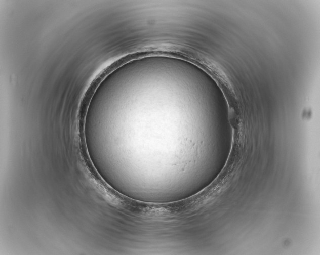 X0000093560784200710291018