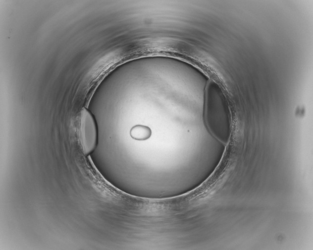 X0000093560785200710291018