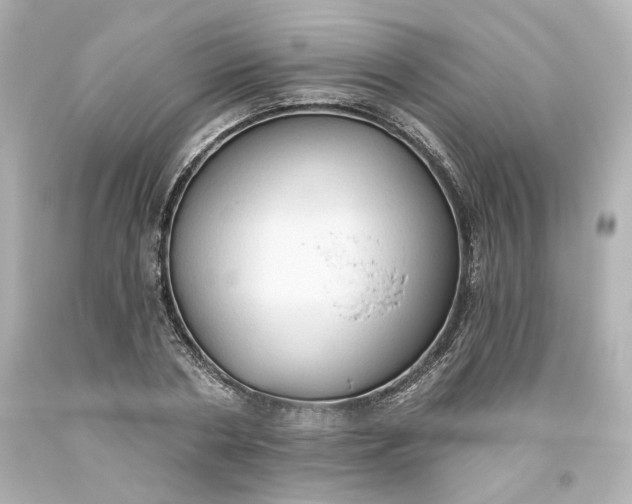 X0000093560786200710291018