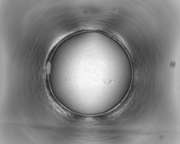 X0000093560787200710291018