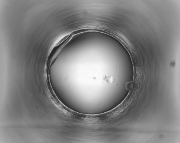 X0000093560788200710291018