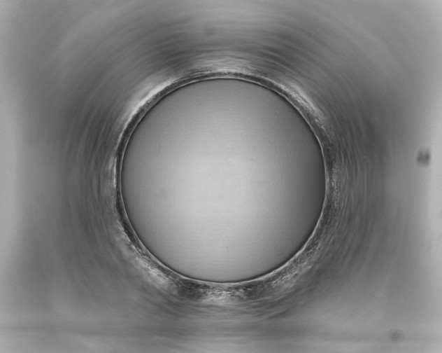 X0000093560790200710291018