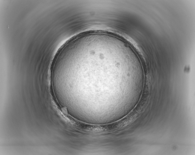 X0000093560791200710291018