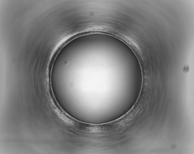 X0000093560792200710291018