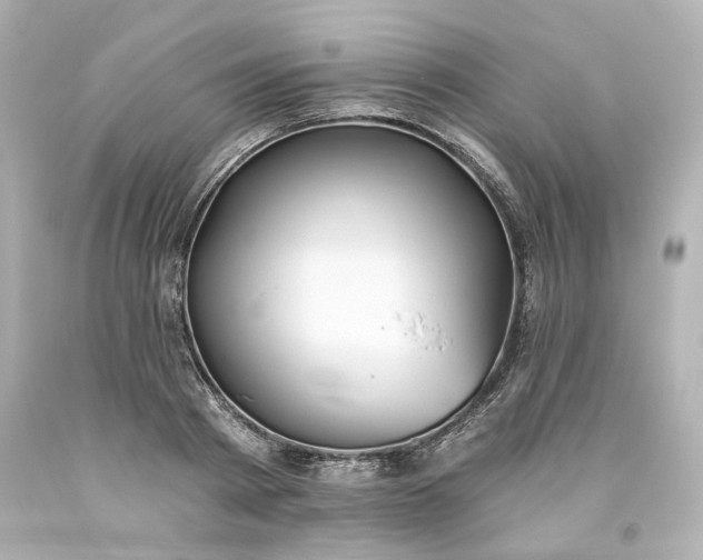 X0000093560793200710291018