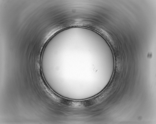 X0000093560794200710291018