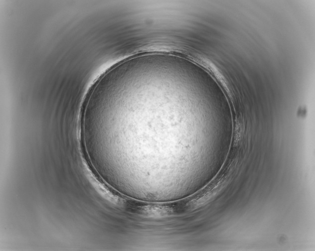 X0000093560795200710291018