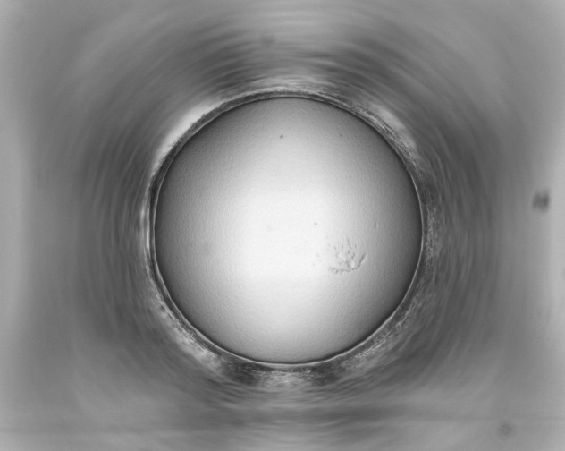 X0000093560796200710291018