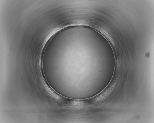 X0000093560797200710291018