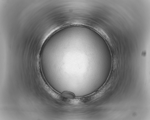 X0000093560798200710291018