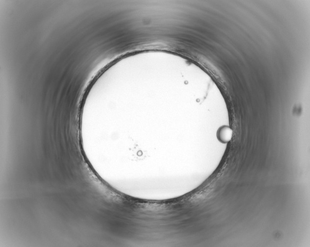 X0000093560800200710291018