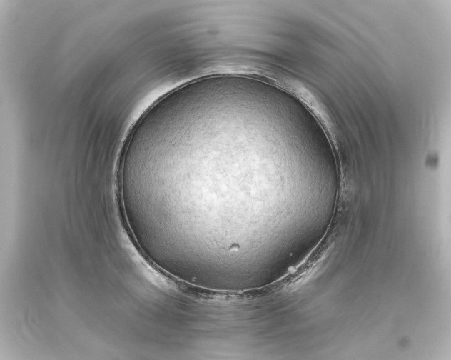 X0000093560803200710291018