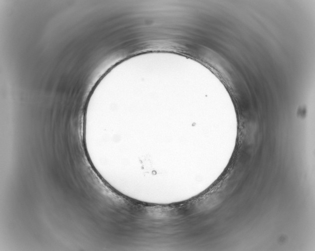 X0000093560804200710291018