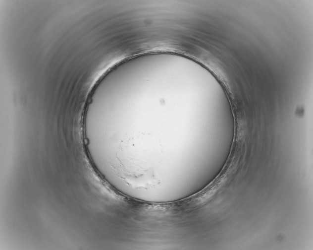 X0000093560806200710291018