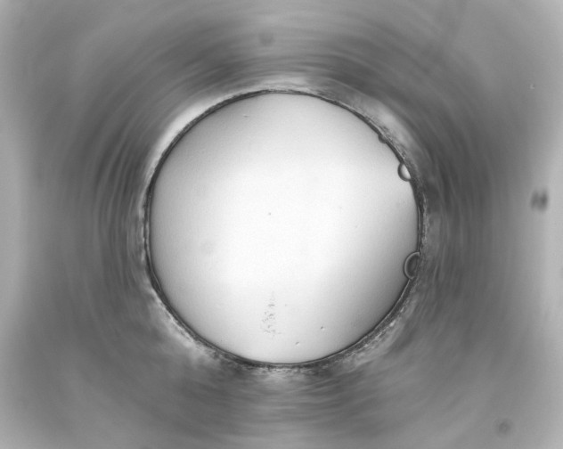 X0000093560808200710291018