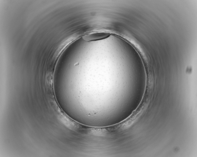 X0000093560809200710291018