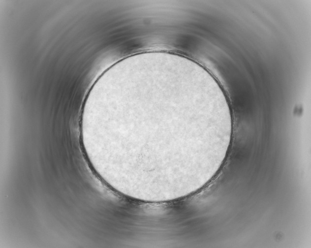 X0000093560810200710291017