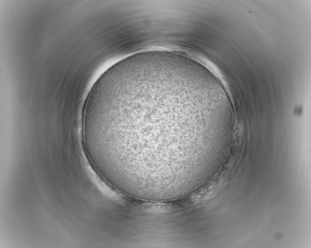 X0000093560811200710291017