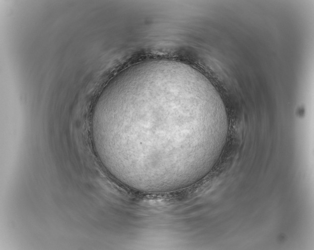 X0000093560817200710291017