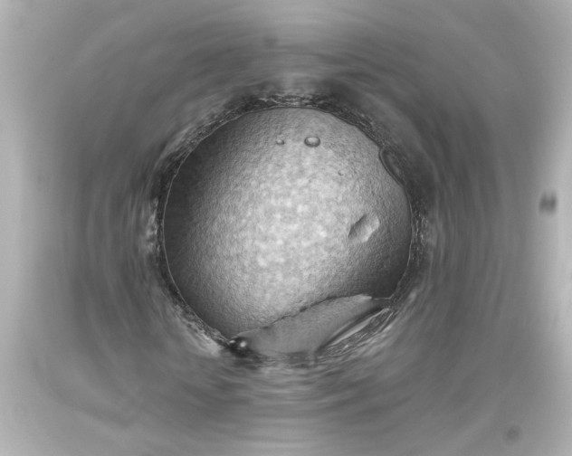 X0000093560818200710291017