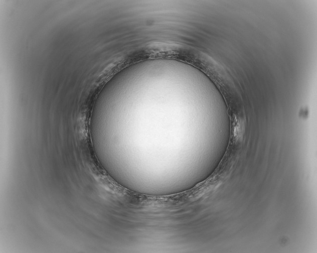 X0000093560819200710291017