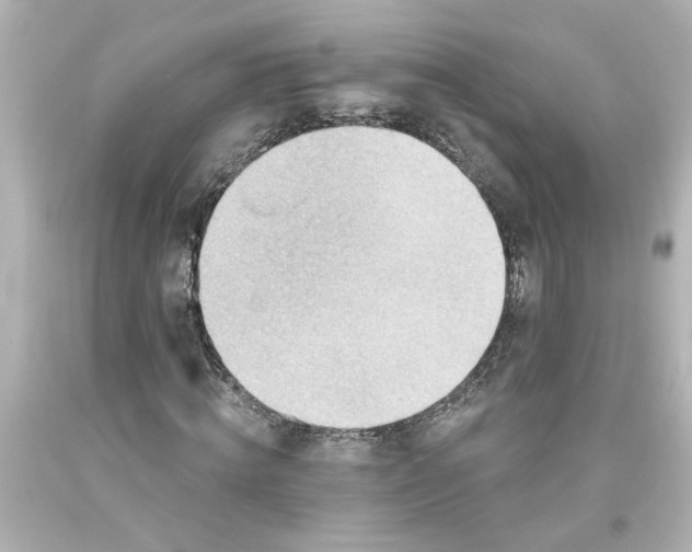 X0000093560820200710291017