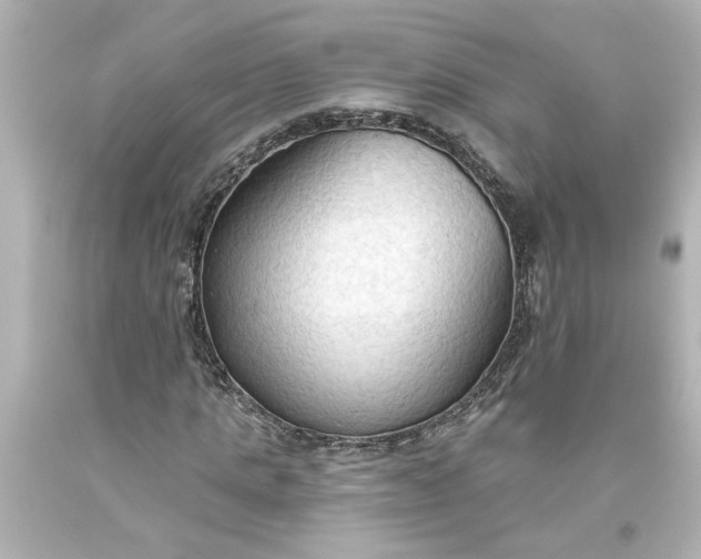 X0000093560821200710291017