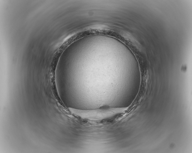 X0000093560822200710291017