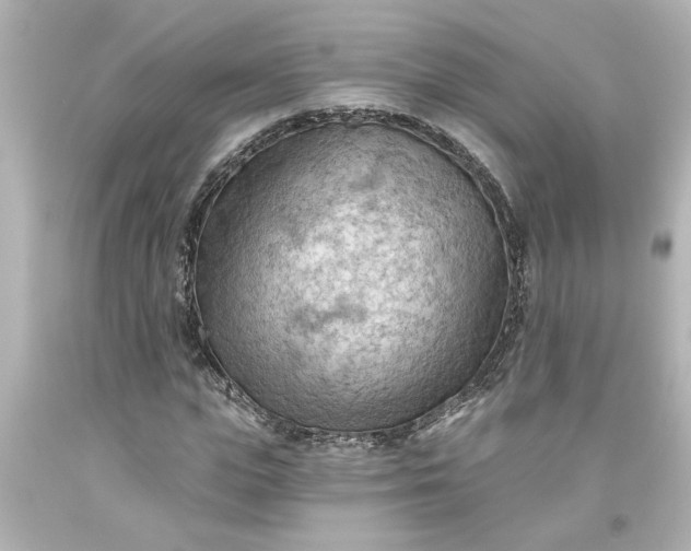 X0000093560823200710291017