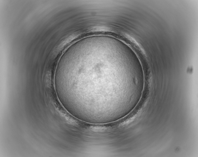 X0000093560825200710291017