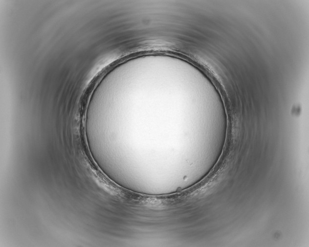 X0000093560827200710291017