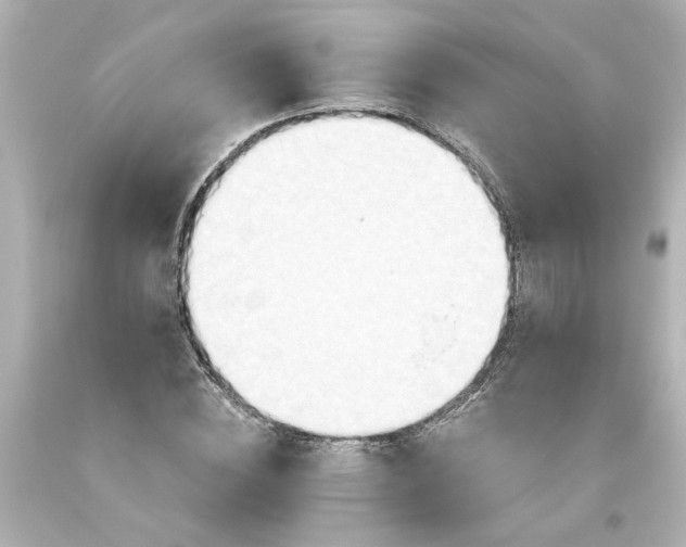 X0000093560828200710291017