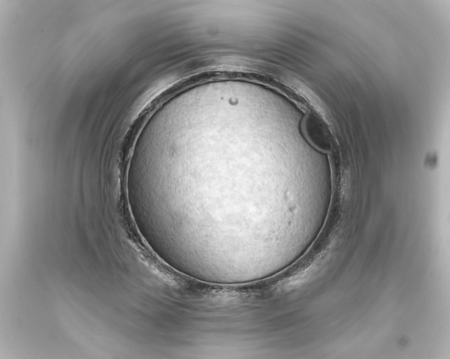 X0000093560829200710291017